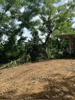 Rd 942, Gurabo, PR 00778 - #3
