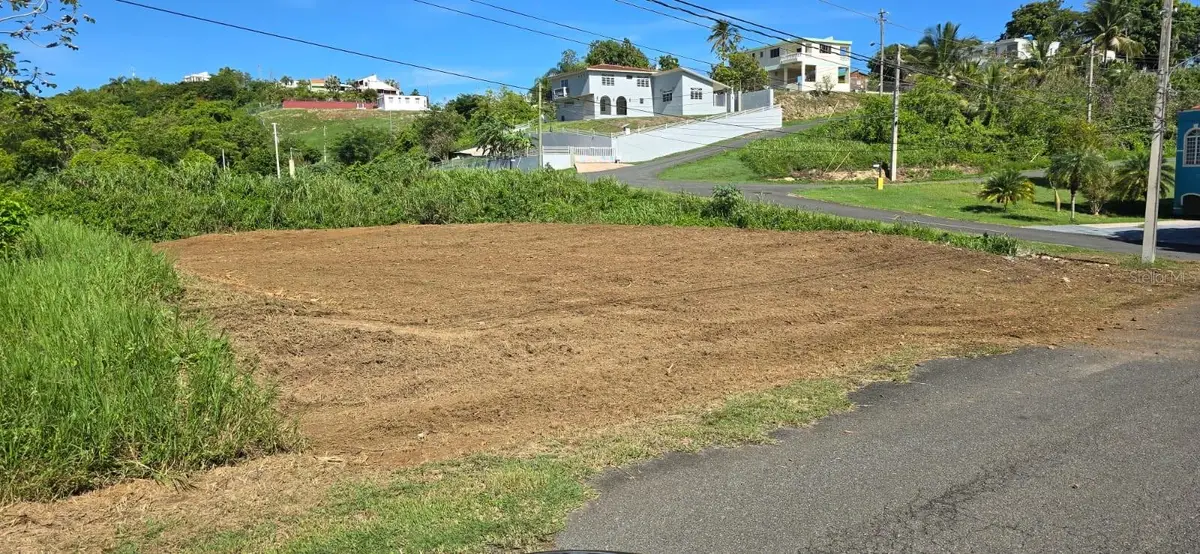 Urb. Colinas De Palmarito, Arecibo, PR 00612 - #1