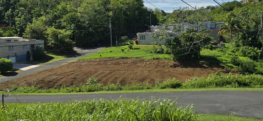 Urb. Colinas De Palmarito, Arecibo, PR 00612 - #2