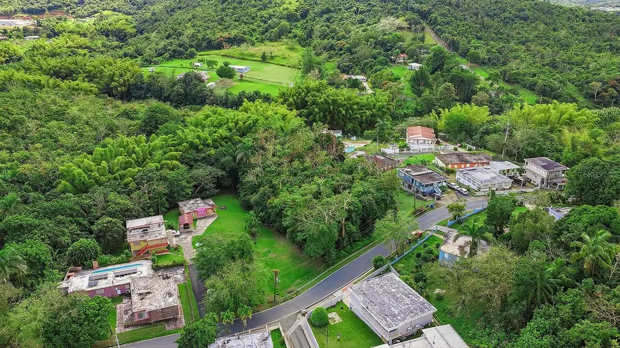 4 Barrio Rincon, Cidra, PR 00739 - #3