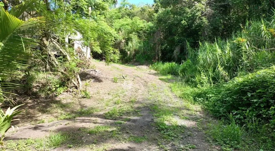Carr 176 Km 9.9 Cupey, San Juan, PR 00926 - #2