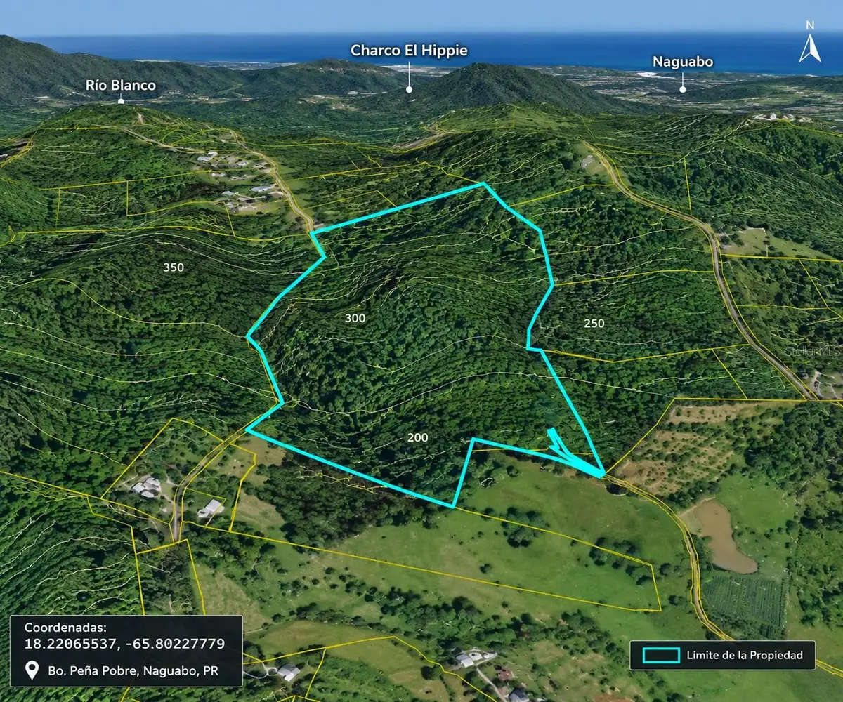 carr 31 Solar 1 Pea Pobre, Naguabo, PR 00718 - #1