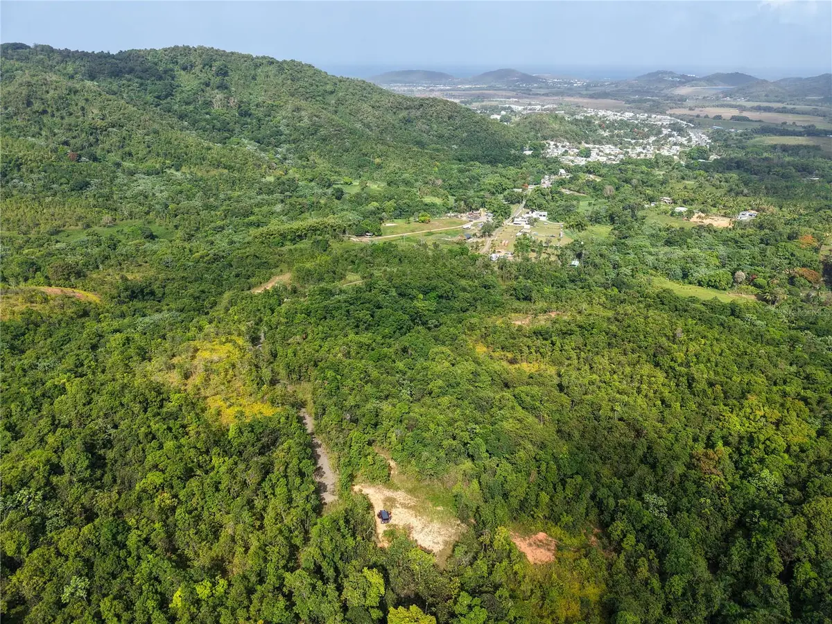 982 Fincas De Naranjo, Fajardo, PR 00738 - #1