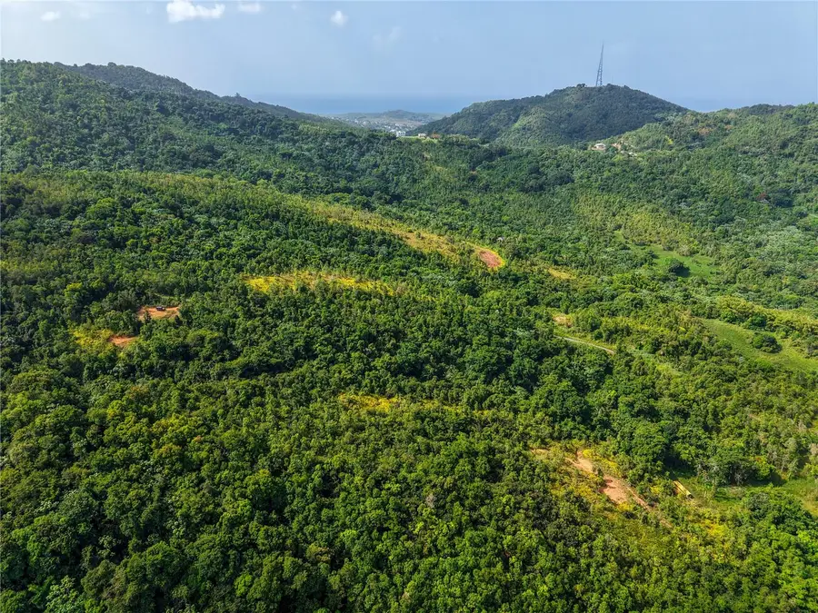 982 Fincas De Naranjo, Fajardo, PR 00738 - #2