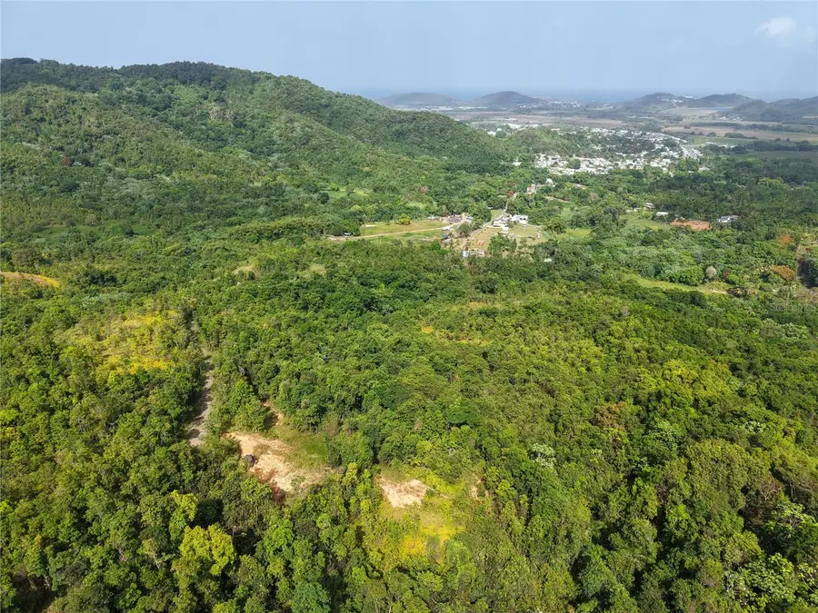 982 Fincas De Naranjo, Fajardo, PR 00738 - #3