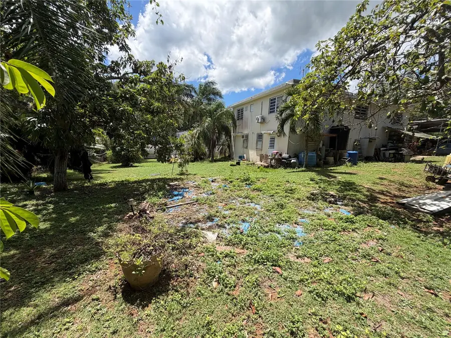 Carr 149 KM 3.5 Int Bo. Rio Arriba Saliente, Manati, PR 00674 - #3