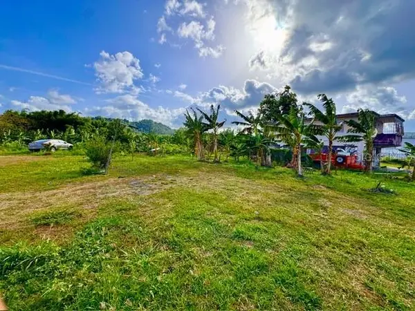 Bo Limones 2, YABUCOA, PR 00767