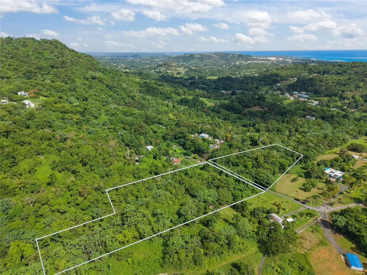 Mata De Platano, Luquillo, PR 00773 - #1