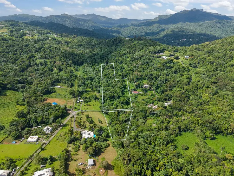Mata De Platano, Luquillo, PR 00773 - #2