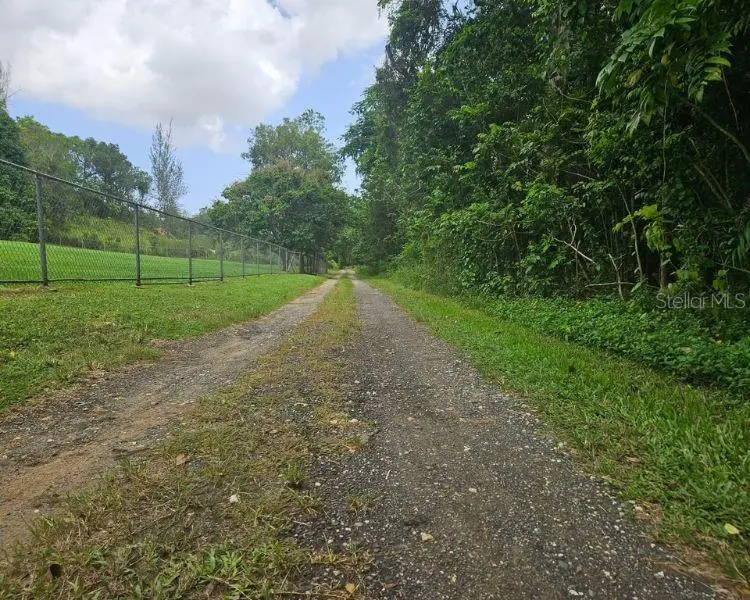 Bo Pugnado Adentro Solar Carretera 646, Vega Baja, PR 00693 - #2