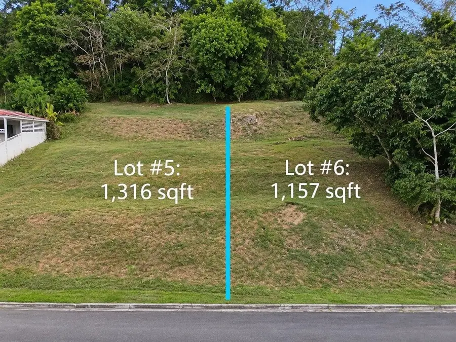 Road 115 kM 15.6 Rio Grande Ward, Rincon, PR 00677 - #2
