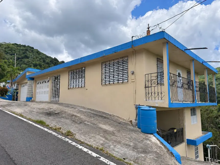 CARR 949 KM 1.4 Bo Rio, Las Piedras, PR 00771 - #3