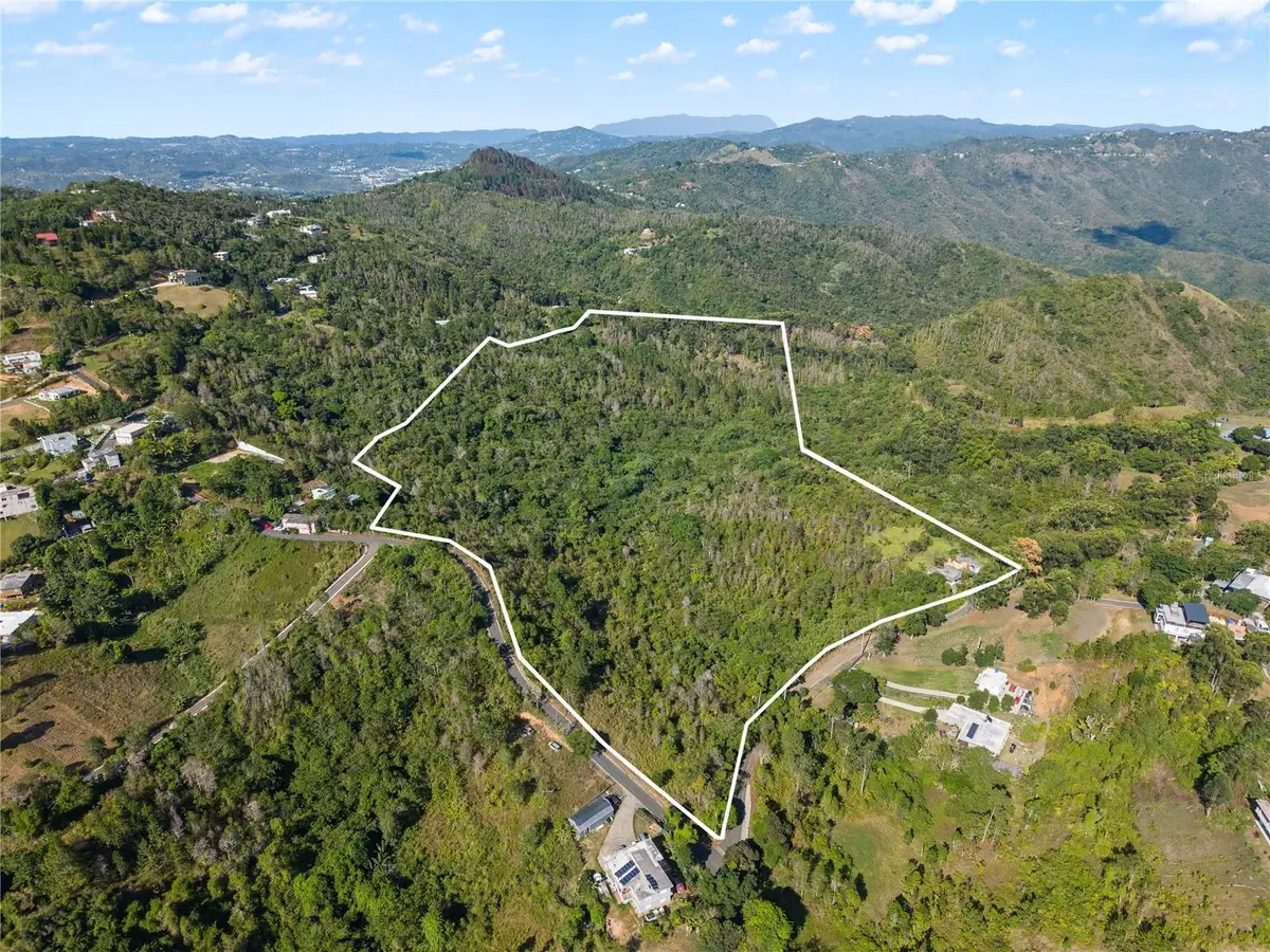 Bo. Cercadillo, Cayey, PR 00736 - #1