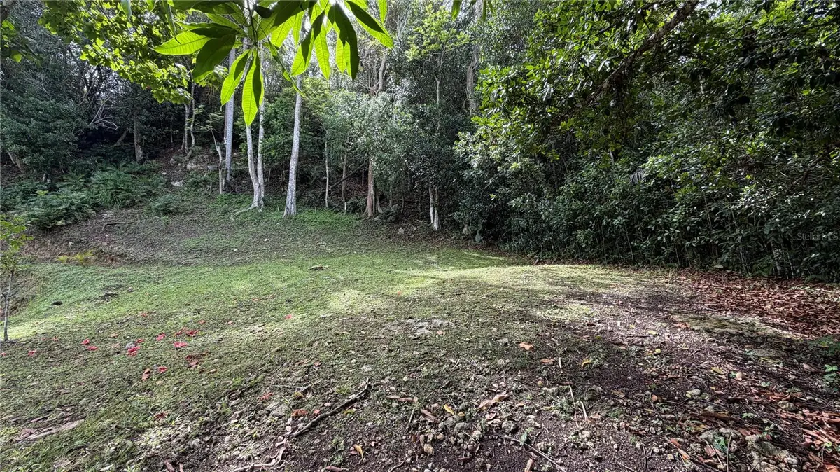 Carr 643 Km 6.7 Bo Pugnado, Vega Baja, PR 00693 - #1