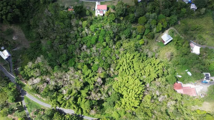 23 Campias, Juncos, PR 00777 - #3