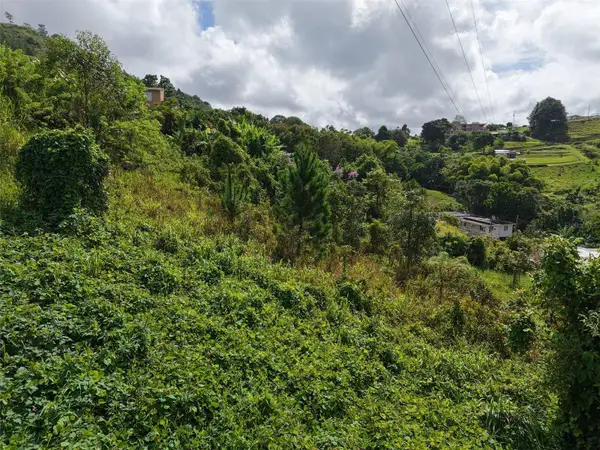 PR 772 KM 4.9 Caabon Ward, BARRANQUITAS, PR 00794