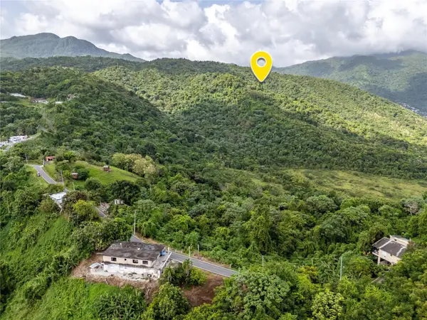 Bo. Rio Blanco, NAGUABO, PR 00718