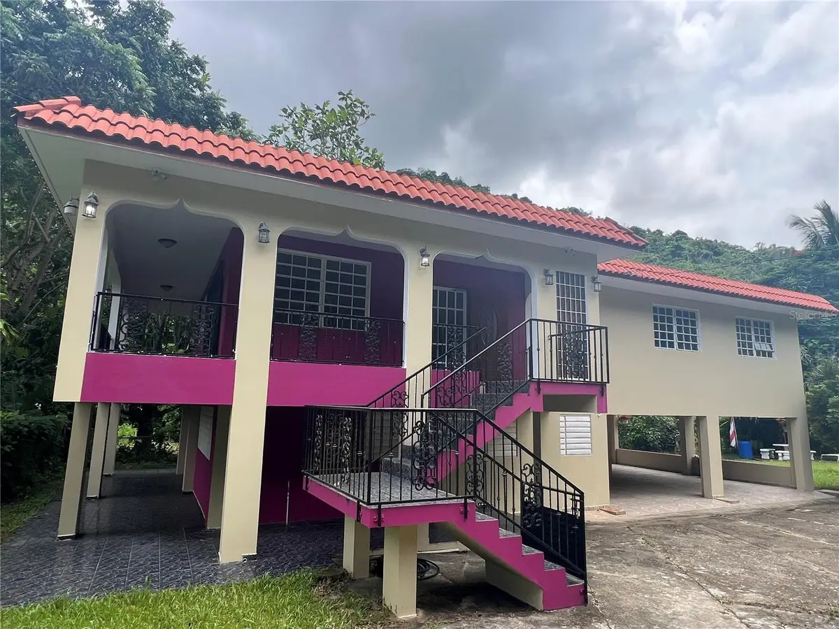 RD 765 K.M 4.7 LOT 1 Borinquen Ward, Caguas, PR 00725 - #1