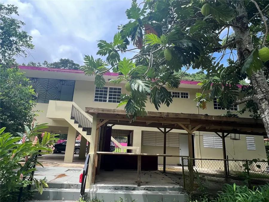 RD 765 K.M 4.7 LOT 1 Borinquen Ward, Caguas, PR 00725 - #2