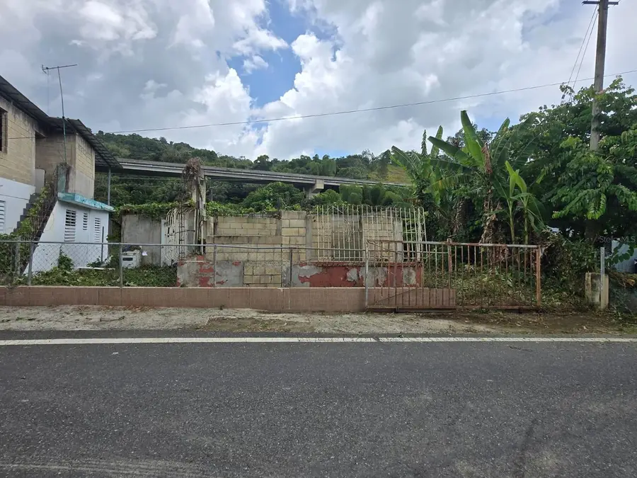 Km 5.5 Bo. Salto Arriba, Utuado, PR 00641 - #2