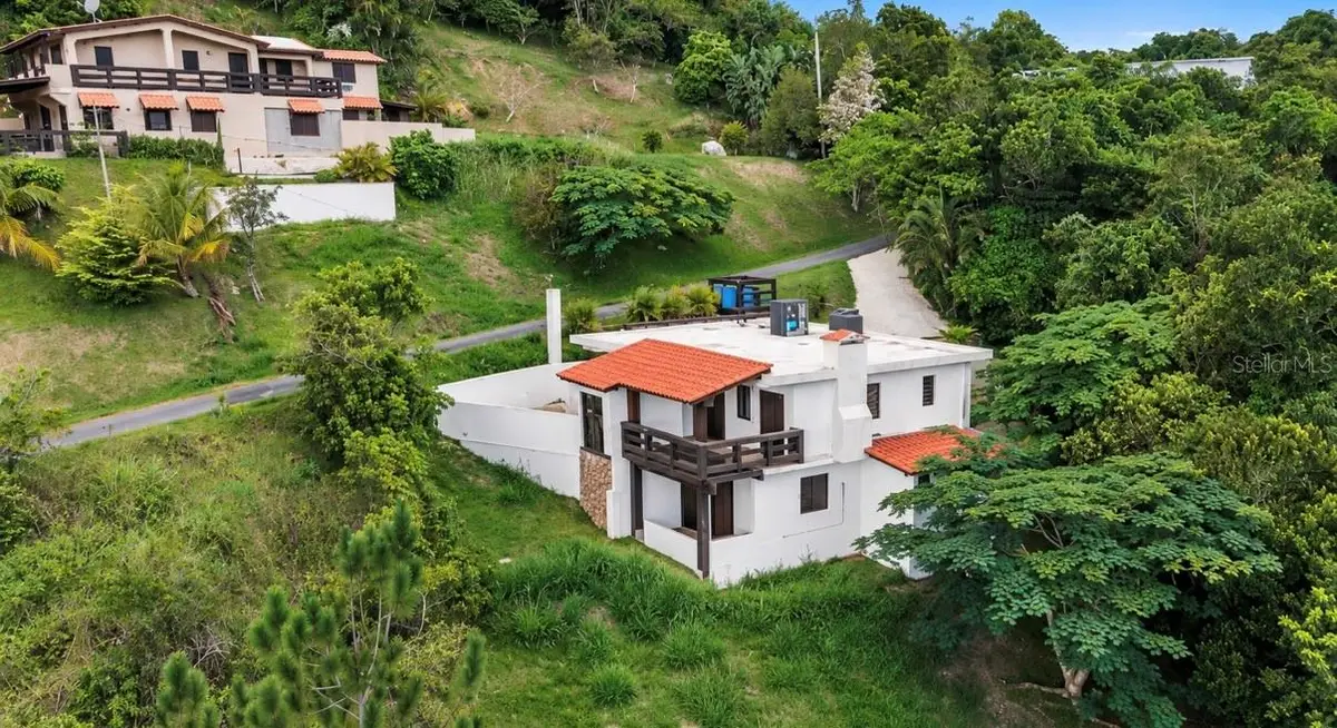 Carr 162 Bo Cuyn, Aibonito, PR 00705 - #1
