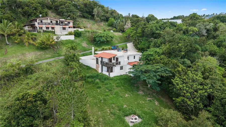 Carr 162 Bo Cuyn, Aibonito, PR 00705 - #2