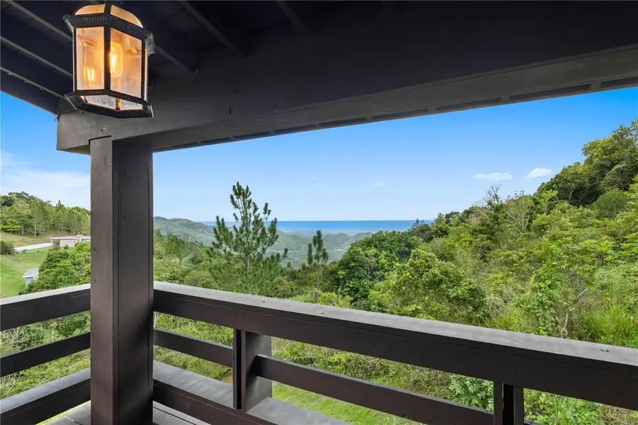 Carr 162 Bo Cuyn, Aibonito, PR 00705 - #3