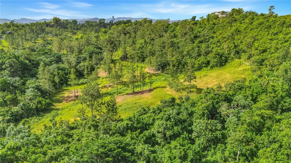 63 Sector Monticello, Cidra, PR 00739 - #1