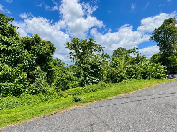 Carr. 119, LAS MARIAS, PR 00670