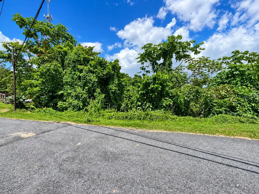 Carr. 119, Las Marias, PR 00670 - #2