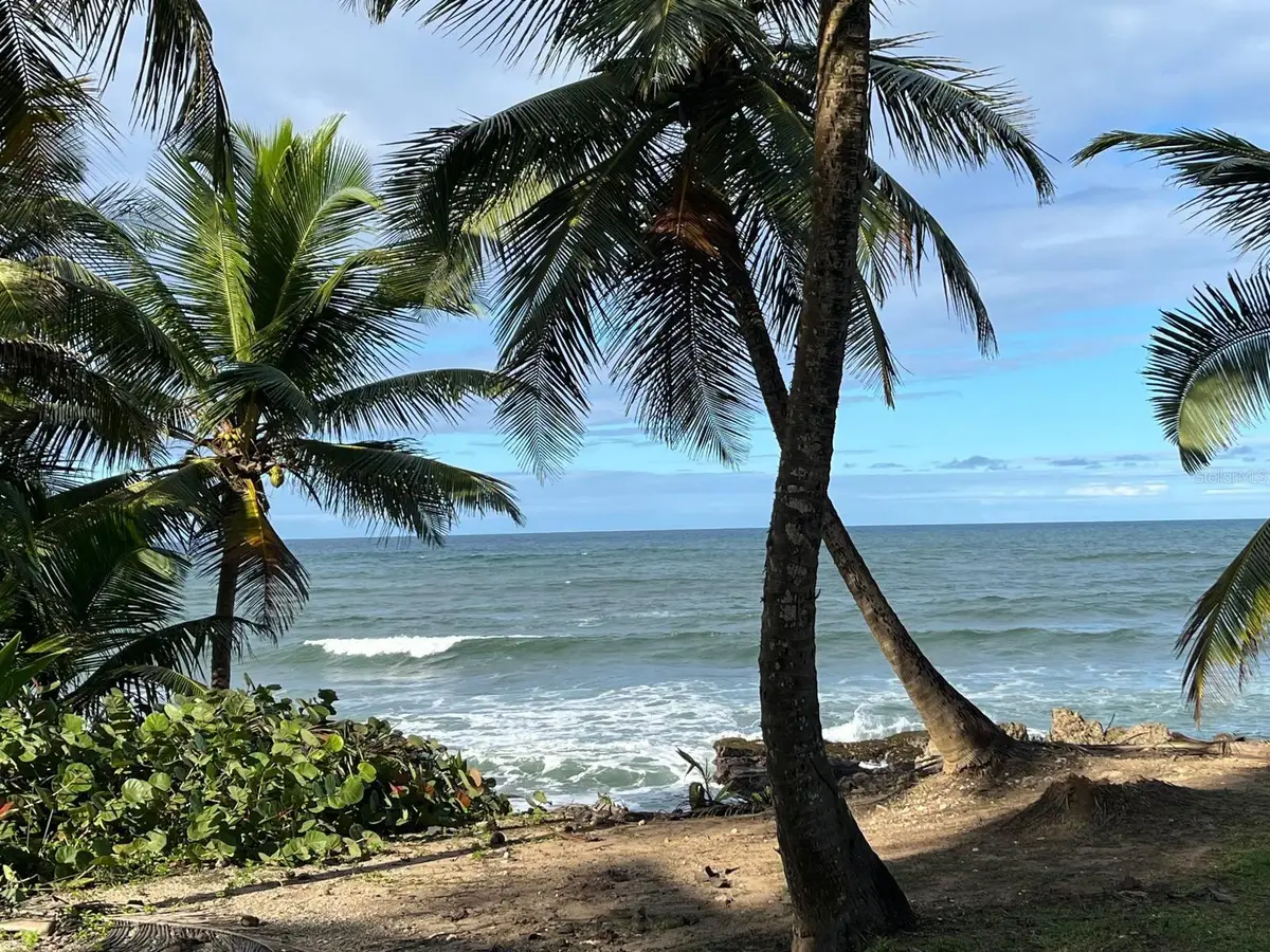 686 Chalets De La Playa #312, Vega Baja, PR 00693 - #1