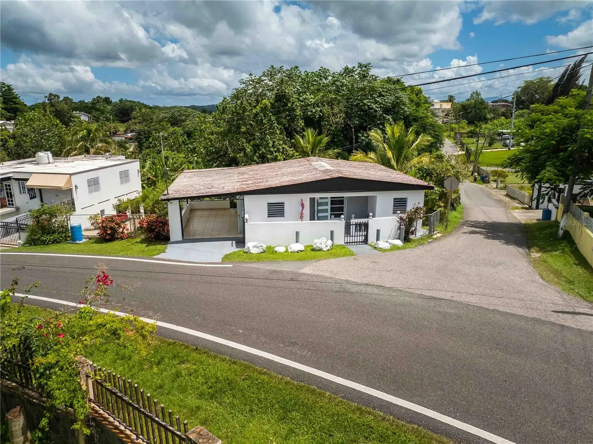 Carretera 454 H5.k6, Barrio Callejones, Lares, PR 00669 - #1