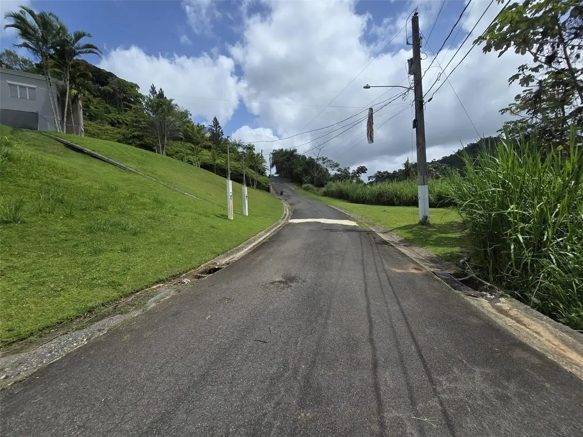 #62 Estancias La Sierra Ii, Aguas Buenas, PR 00703 - #1