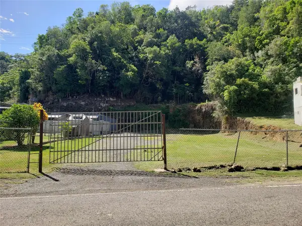 KM 1.7 Pr-666 Road #LOT 1, BARCELONETA, PR 00617
