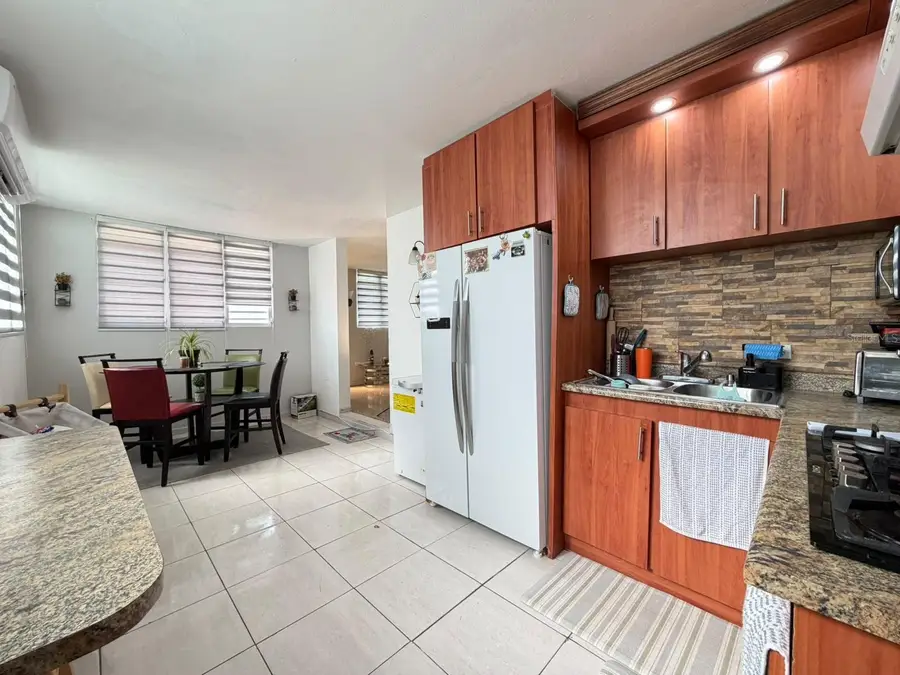 21 Villa Guadalupe, Caguas, PR 00725 - #3