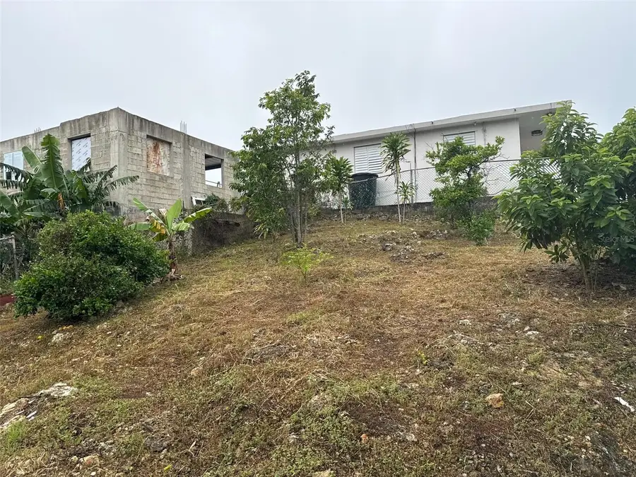 Carr. 119, km 10, H 9 Parcelas Camuy, Camuy, PR 00627 - #2