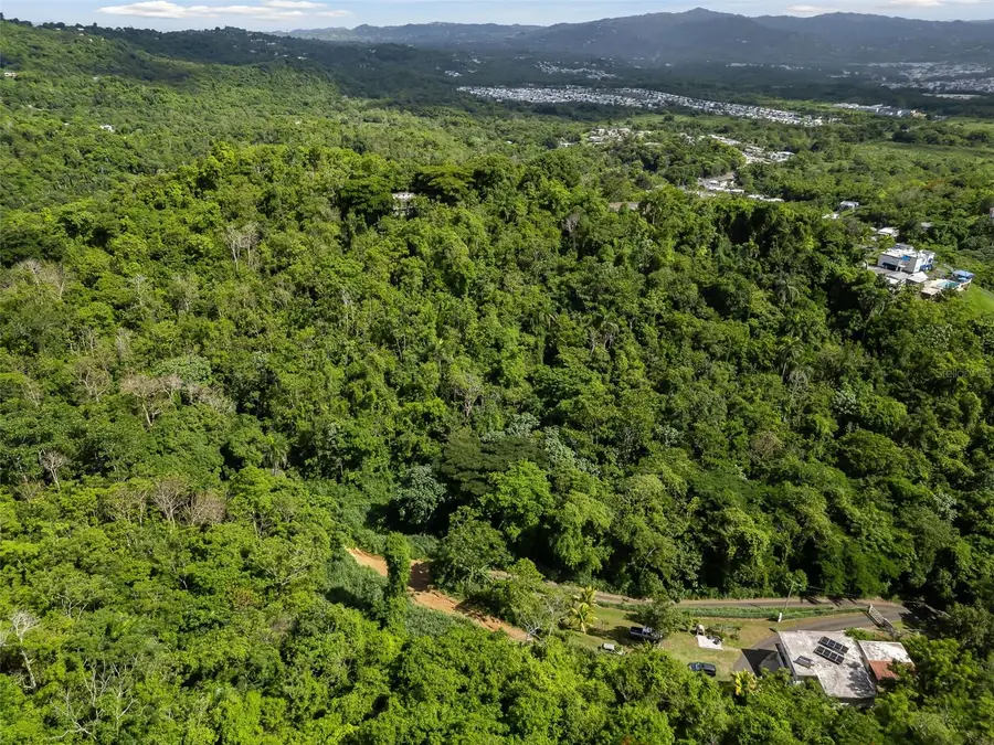 181 Km 31.0 Lote 7 Bo. Quebrada, San Lorenzo, PR 00754 - #3