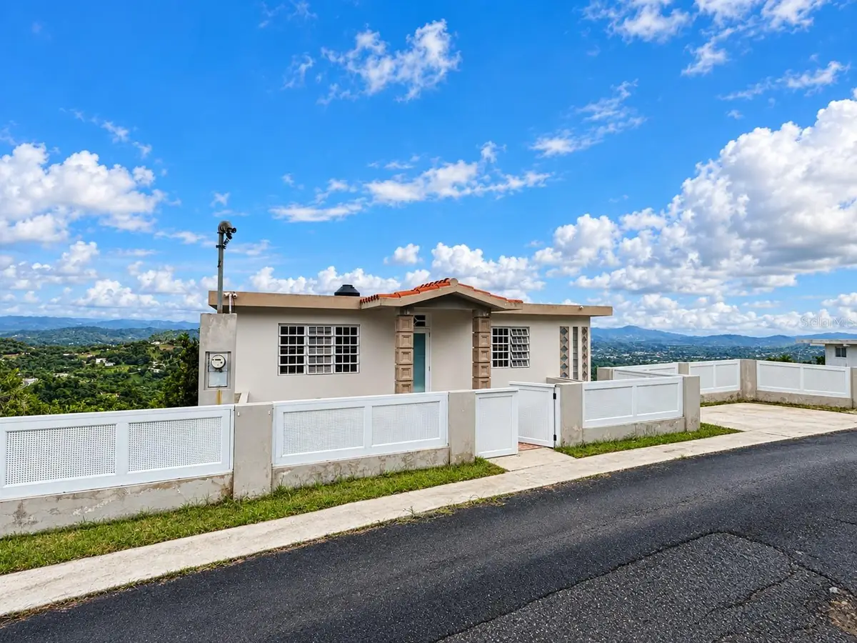CARR. 788 BO. QUEMADOS Km 8.7, San Lorenzo, PR 00754 - #1