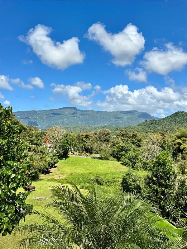 Bo Collores Carr#936 Km 1.0 #Solar 1, LAS PIEDRAS, PR 00771