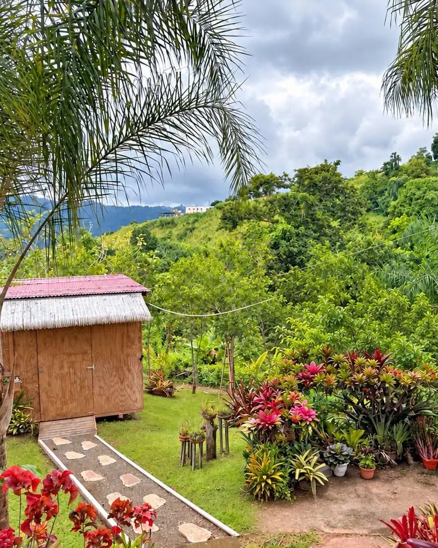 2 Calle Muoz Rivera Pmb 50, Lares, PR 00669 - #2
