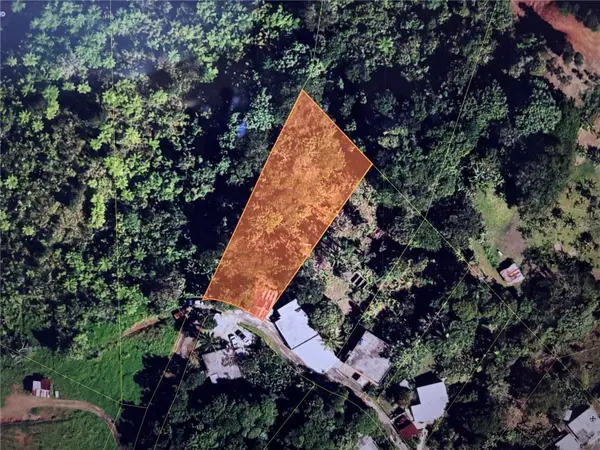 Carr.156 Km 6.2 Botijas 2, OROCOVIS, PR 00720