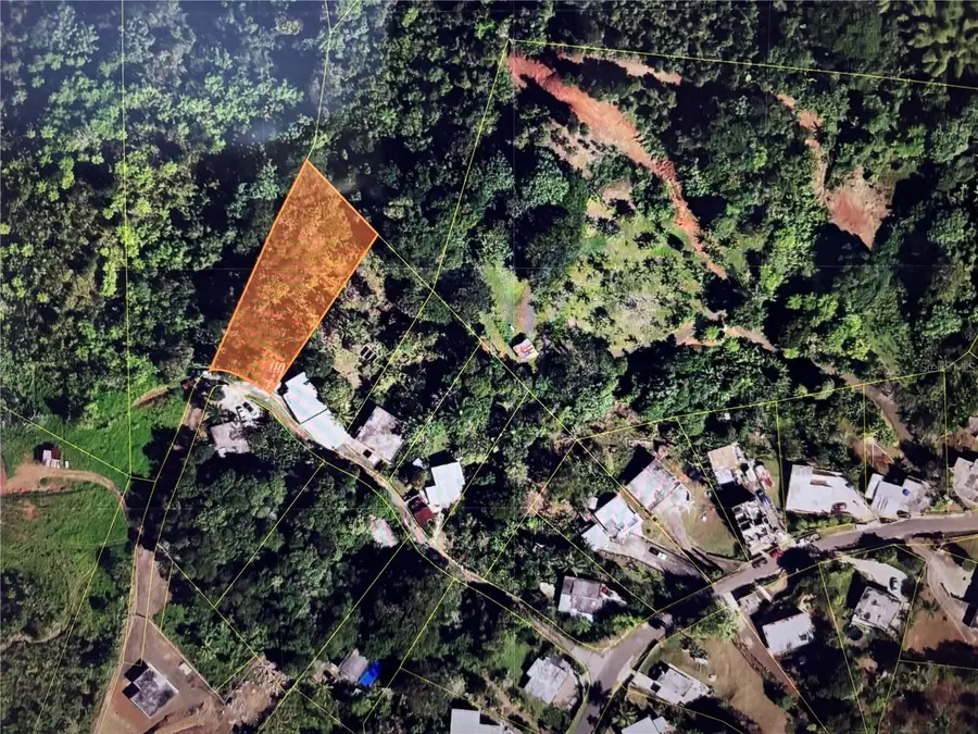 Carr.156 Km 6.2 Botijas 2, Orocovis, PR 00720 - #3