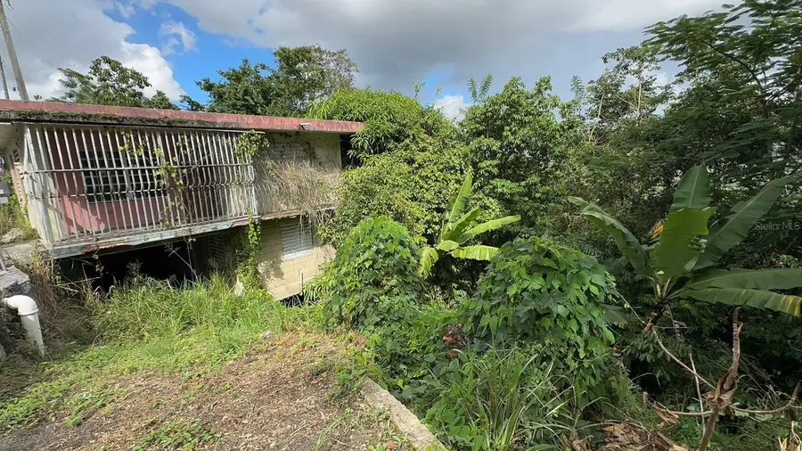 PR. 813 Km 2.1 Bo. Nuevo, Naranjito, PR 00719 - #2