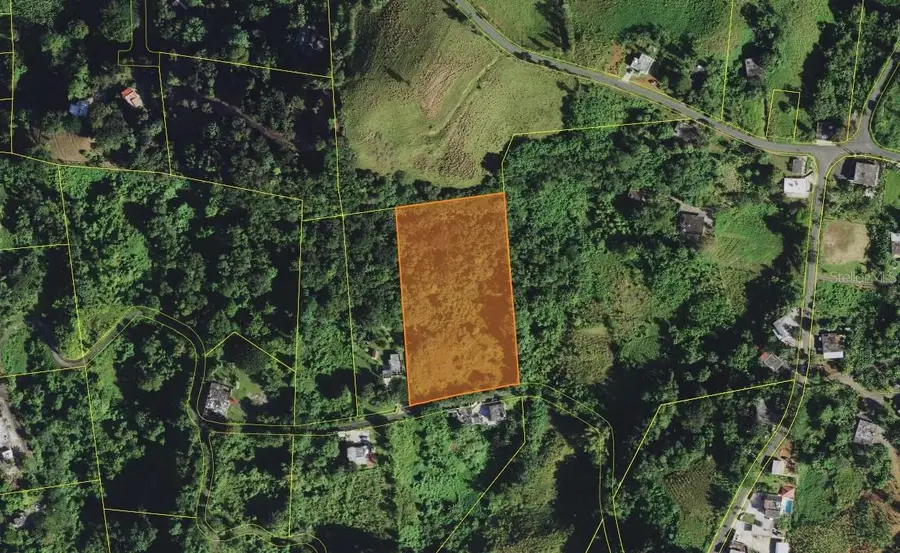 PR-907 KM 5.0 Guzman Arriba Ward, Rio Grande, PR 00745 - #2