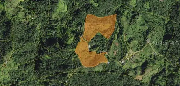 Roncador Ward, Utuado, PR 00641 - #1