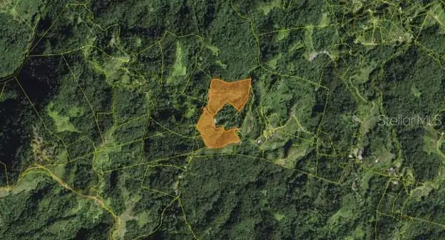 Roncador Ward, Utuado, PR 00641 - #2
