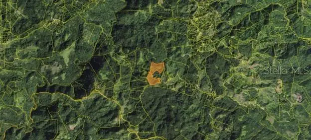 Roncador Ward, Utuado, PR 00641 - #3
