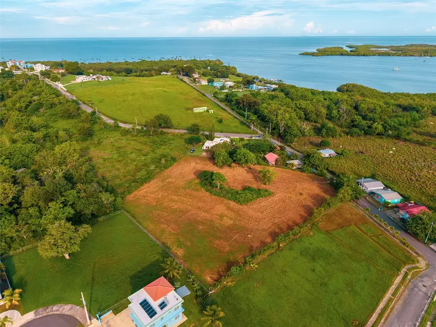 LA MELA Bo. Pedernales, Cabo Rojo, PR 00623 - #3