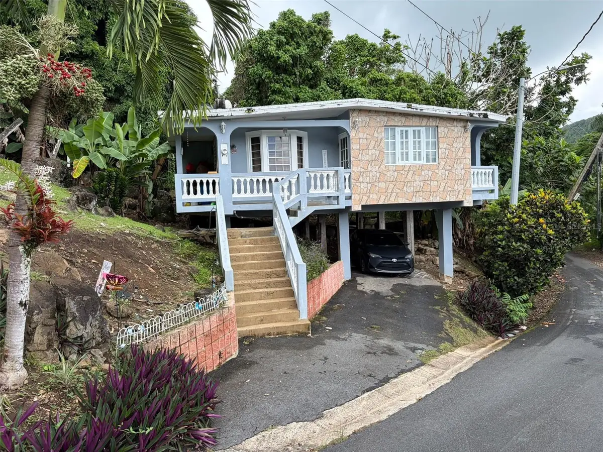 CUBUY 1, Canovanas, PR 00729 - #1