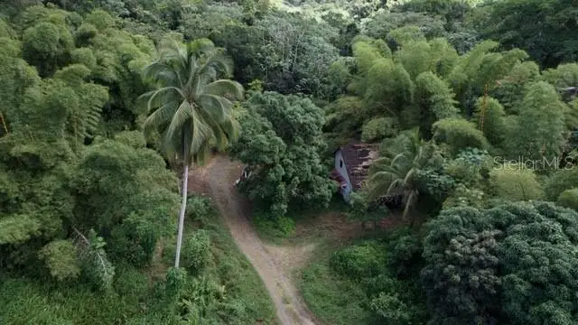 Bo. Pitahaya, Luquillo, PR 00773 - #1